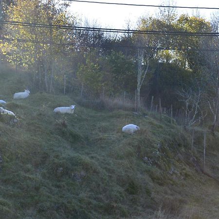 Guesthouse In Manger, Radoy Island Kolstad Zewnętrze zdjęcie