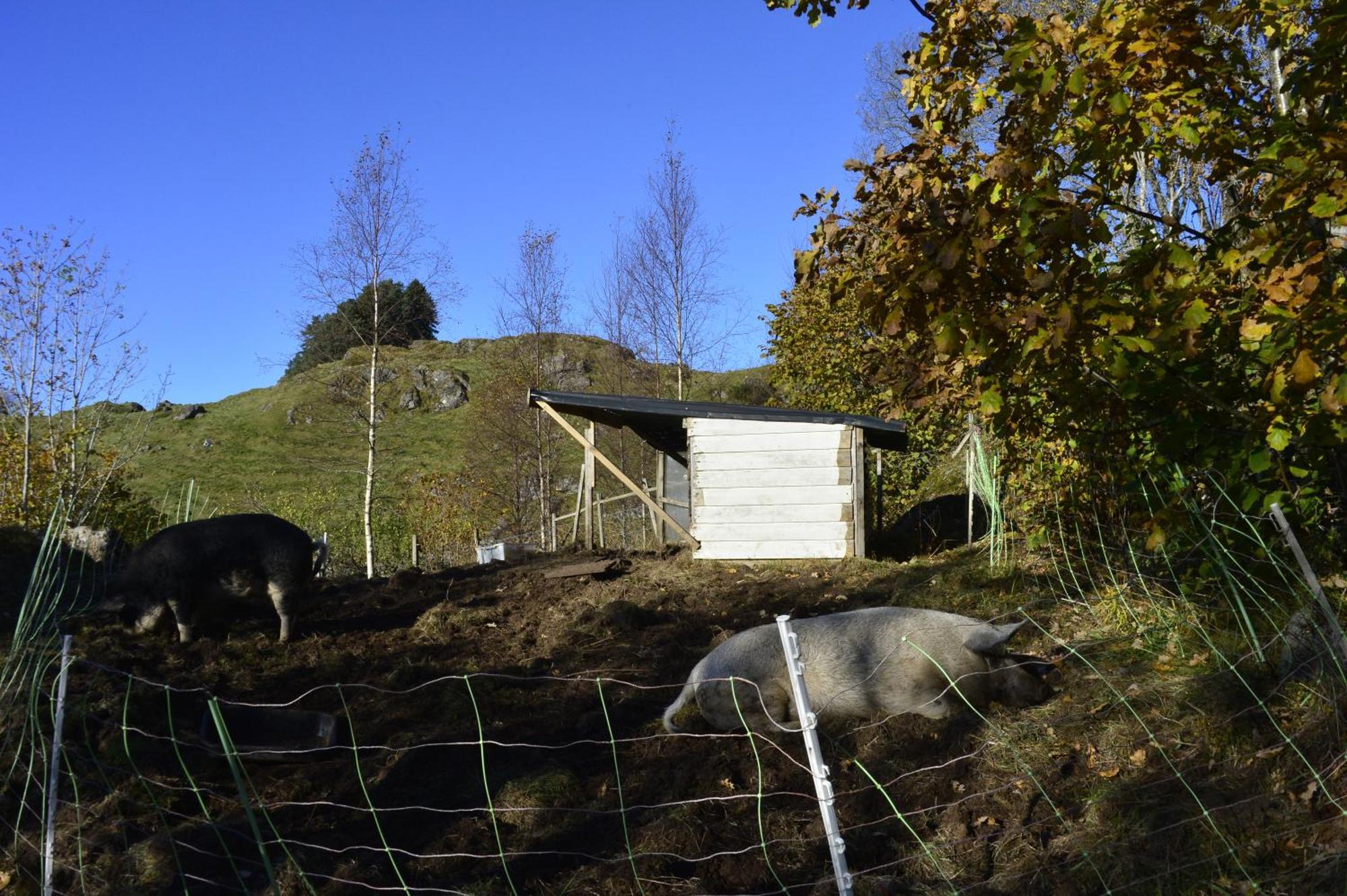 Guesthouse In Manger, Radoy Island Kolstad Zewnętrze zdjęcie