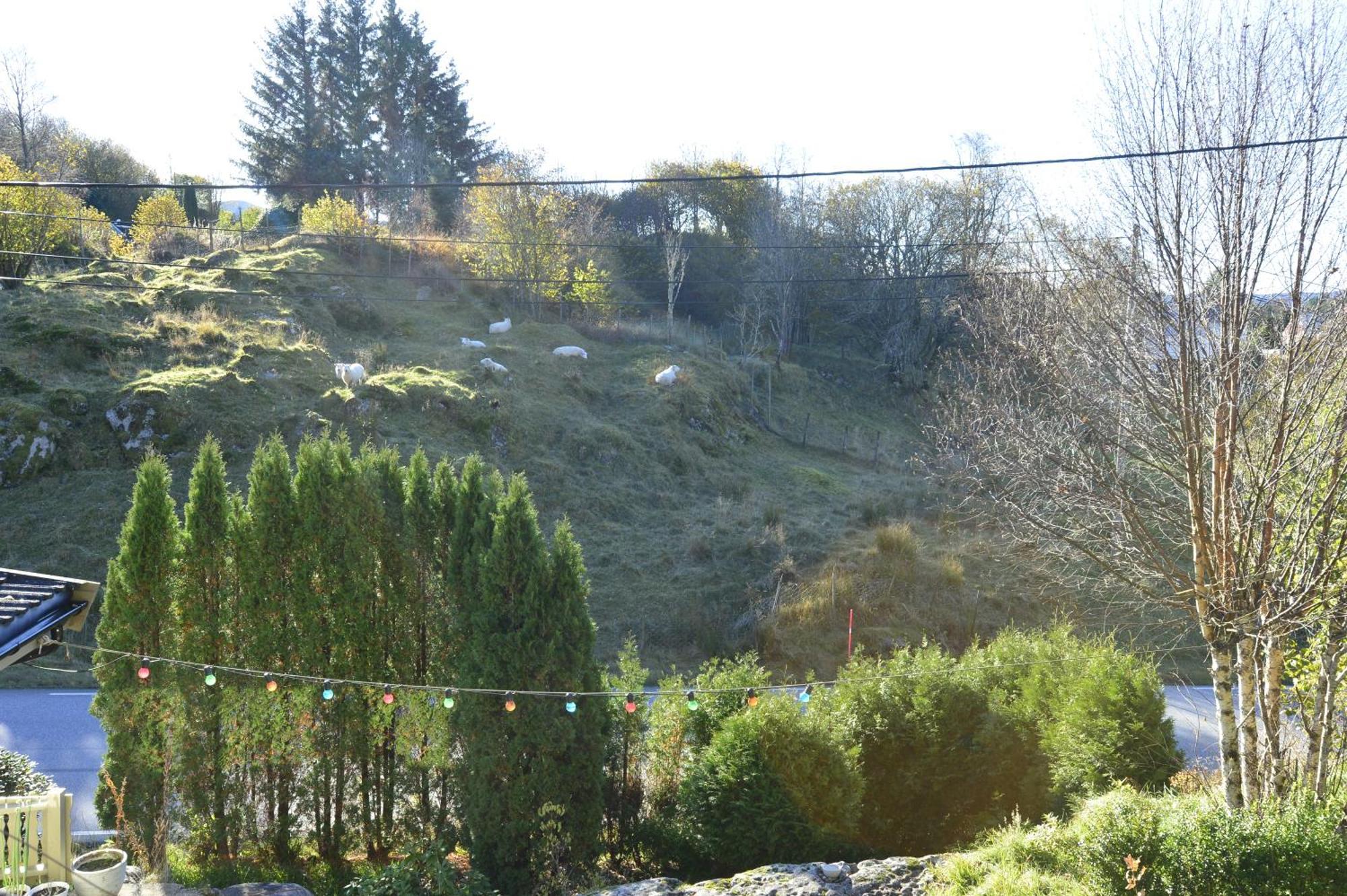 Guesthouse In Manger, Radoy Island Kolstad Zewnętrze zdjęcie
